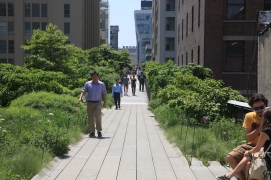 the High Line Park